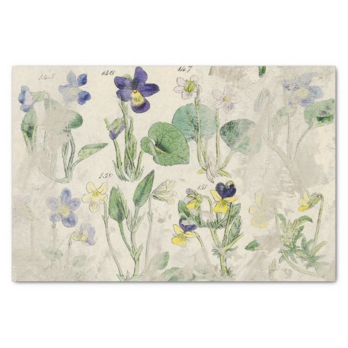 Botanical Violets Pressed Flower Vintage Tissue Pa Tissue Paper