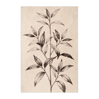 Botanical Wall Art for Living Room