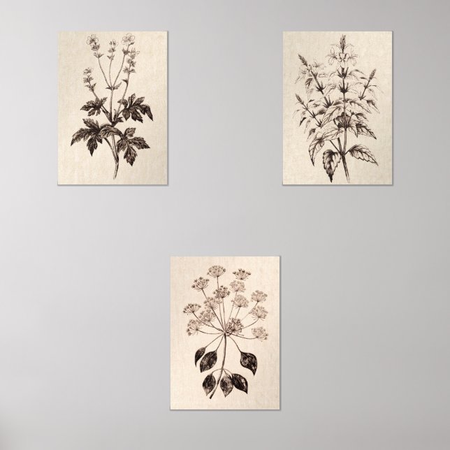 Botanical Wall Art for Living Room Sets (Front)