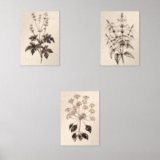 Botanical Wall Art for Living Room Wall Art Sets
