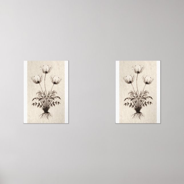 Botanical Wall Art for Living Room Wall Art Sets (Front)