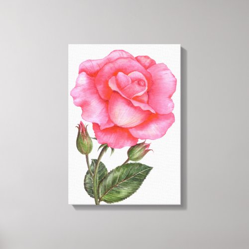 Botanical Wall Art Pink Rose Floral Art Flower