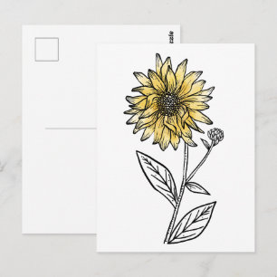 Botanical watercolor aesthetic line art sunflower postcard