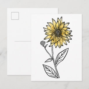 Botanical watercolor aesthetic line art sunflower postcard