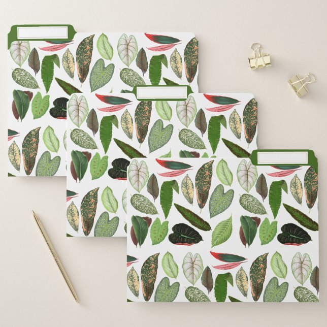 Botanical Watercolor Vintage Greenery Leaves  File Folder (Set)
