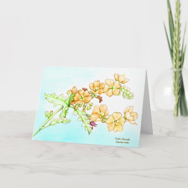 Botanical watercolor wildflower globemallow card (Front)