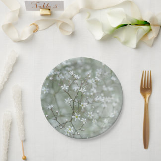 Botanical White Baby's Breath Flower Photography Paper Plates