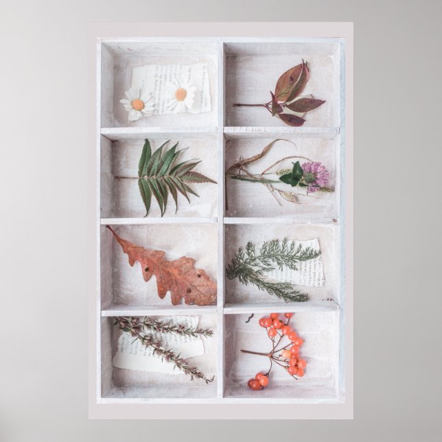 Botanical White Shadow Box, Flowers Leaves Ferns Poster (Front)