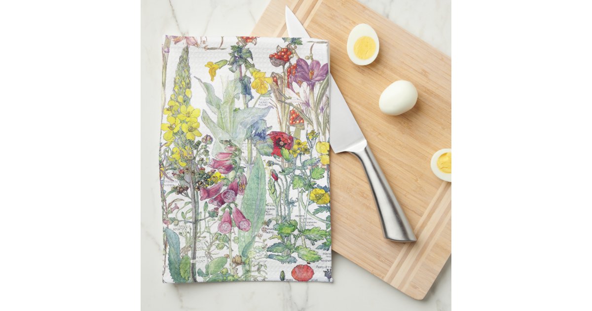 Botanical Wildflower Flowers Kitchen Towel Zazzle