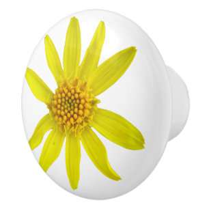 Botanical Yellow Arnica Wildflower on any Color Ceramic Knob