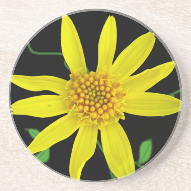 Botanical Yellow Wildflower on any Color Sandstone Coaster (Front)