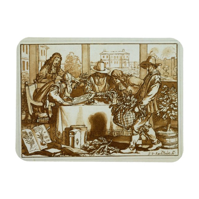 Botanists examining plants (litho) magnet (Horizontal)