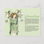 Botany Collector Vintage Snowdrops Girl Plant Info Postcard at Zazzle