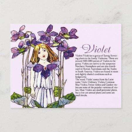 Botany Collector Vintage Violet Girl Plant Info Postcard