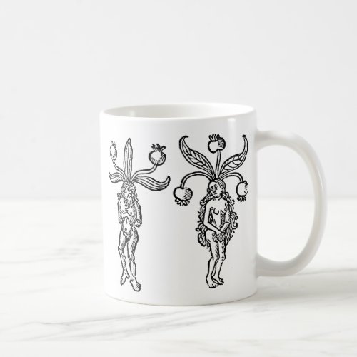 Botany Mandrake 1476 Coffee Mug