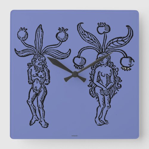 Botany Mandrake 1476 Square Wall Clock