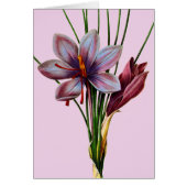 Botany: Saffron Cards (Front)