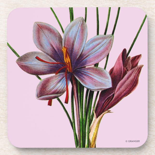 Botany: Saffron Drink Coaster (Front)