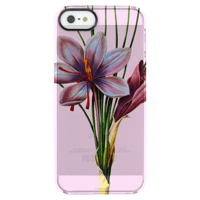 Botany: Saffron Uncommon iPhone Case (Back)