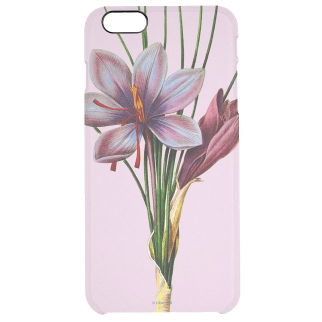 Botany: Saffron Uncommon iPhone Case (Back)