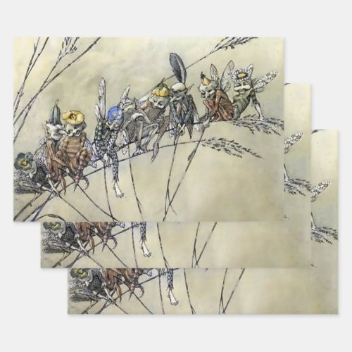 Bother the Gnat by A Duncan Carse Wrapping Paper Sheets