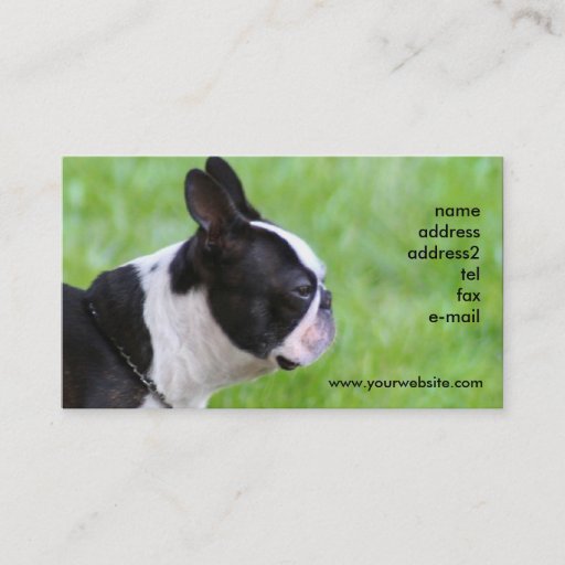 Customizable Boton Terrier business cards