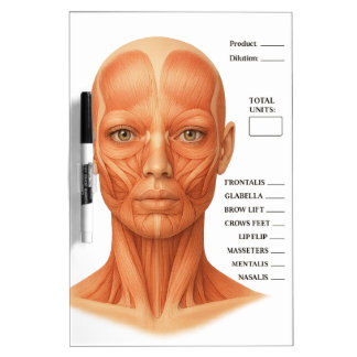 Botox Dysport Jeuveau Dry Erase Board face map