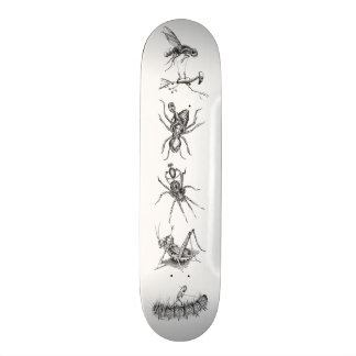 Bots Riding Bugs Collage Skateboard Deck