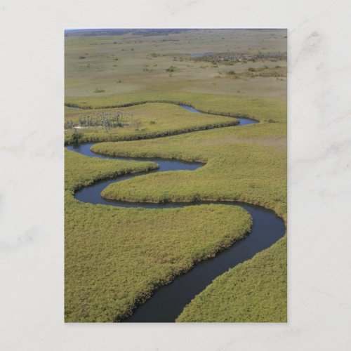 Botswana Africa Arial view Okavango river Postcard