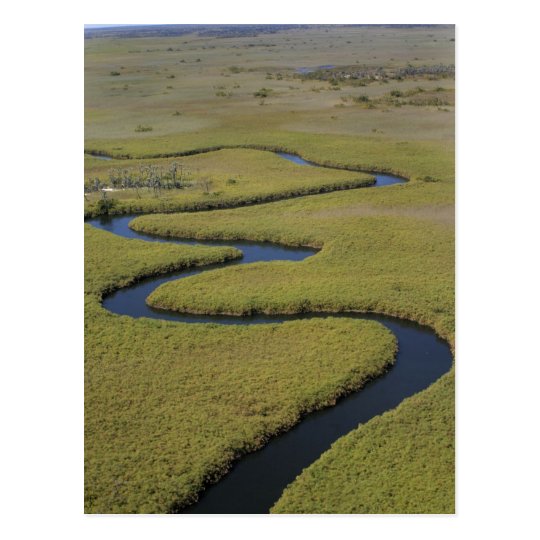 Botswana, Africa. Arial view Okavango river. Postcard