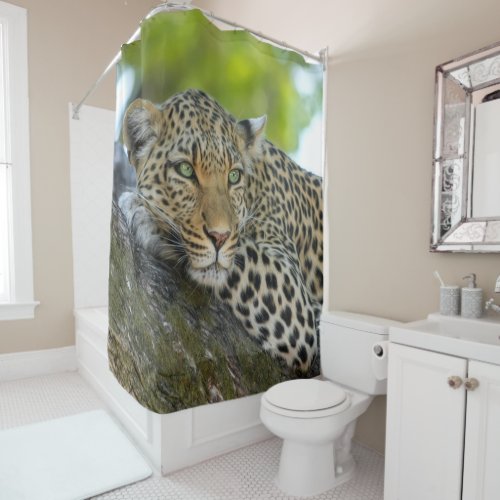 Botswana African Leopard Shower Curtain