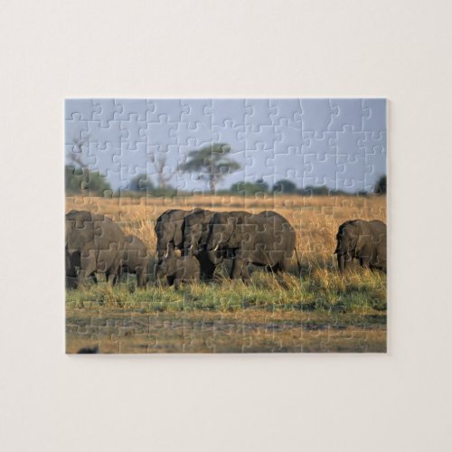 Botswana Chobe National Park Elephant herd Jigsaw Puzzle