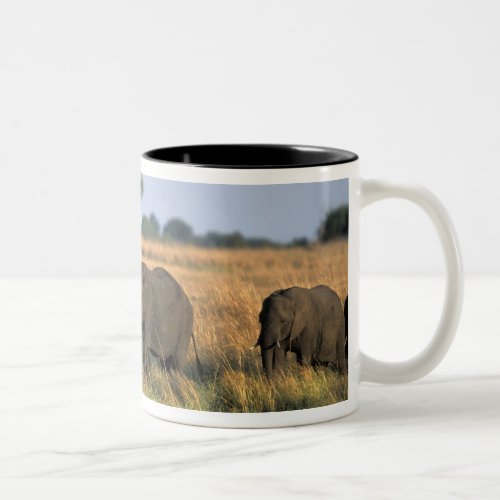 Botswana Chobe National Park Elephant herd Two_Tone Coffee Mug