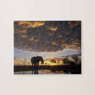 Botswana, Chobe National Park, Elephant Jigsaw Puzzle