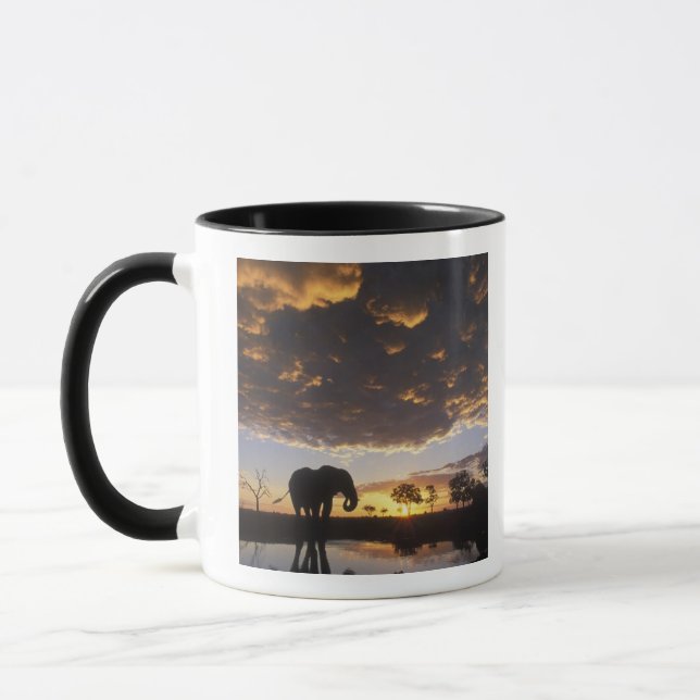 Botswana, Chobe National Park, Elephant Mug (Left)