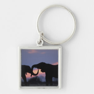 Botswana, Chobe National Park, Elephants Keychain