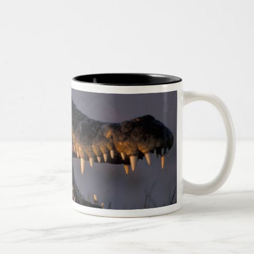 Botswana Chobe National Park Nile Crocodile Two_Tone Coffee Mug