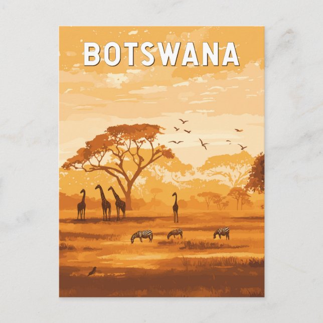 Botswana Illustration Travel Art Vintage Postcard (Front)