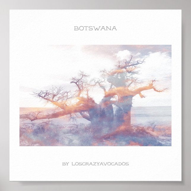Botswana Kubu Island Baobab Travel Poster (Front)