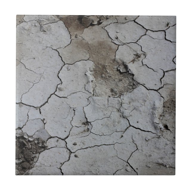 Botswana Landscape Salt Pans Cracked Dry Mud Ceramic Tile (Front)