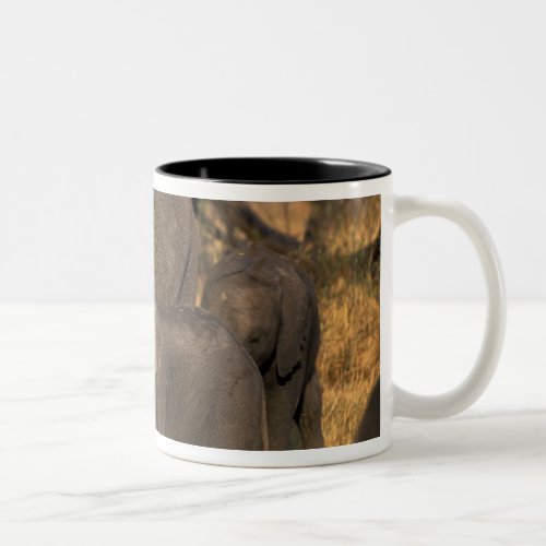 Botswana Moremi Game Reserve Elephant herd Two_Tone Coffee Mug