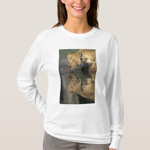 Botswana Moremi Game Reserve Lioness Panthera T_Shirt