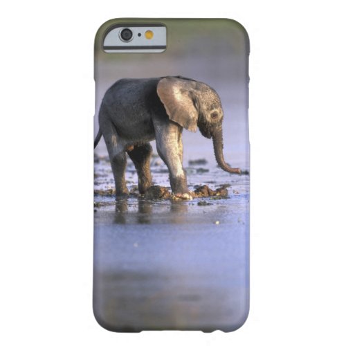 Botswana Moremi Game Reserve Young Elephant Barely There iPhone 6 Case