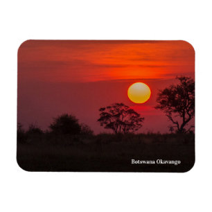 Botswana Okavango Flexible Photo Magnet