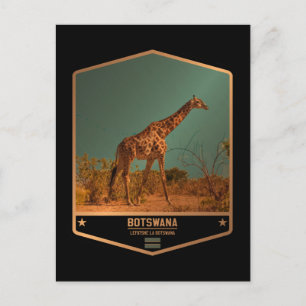 Botswana Postcard