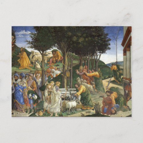 Botticelli Renaissance Painting Postcard