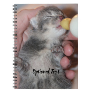 Bottle Feeding Newborn Rescue Tabby Kitten Notebook