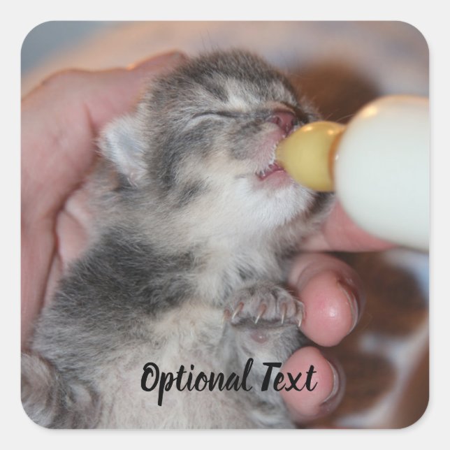 Bottle Feeding Newborn Rescue Tabby Kitten Square Sticker (Front)