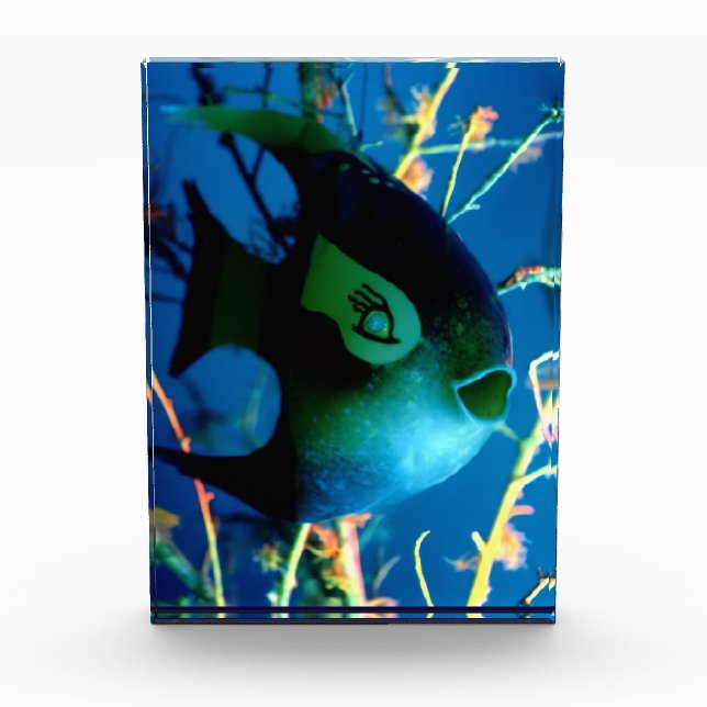 Bottle Fish jGibney The Museum Zazzle Photo Block (Front)