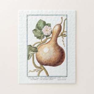 Bottle Gourd by Giorgio Bonelli Painting  Jigsaw Puzzle